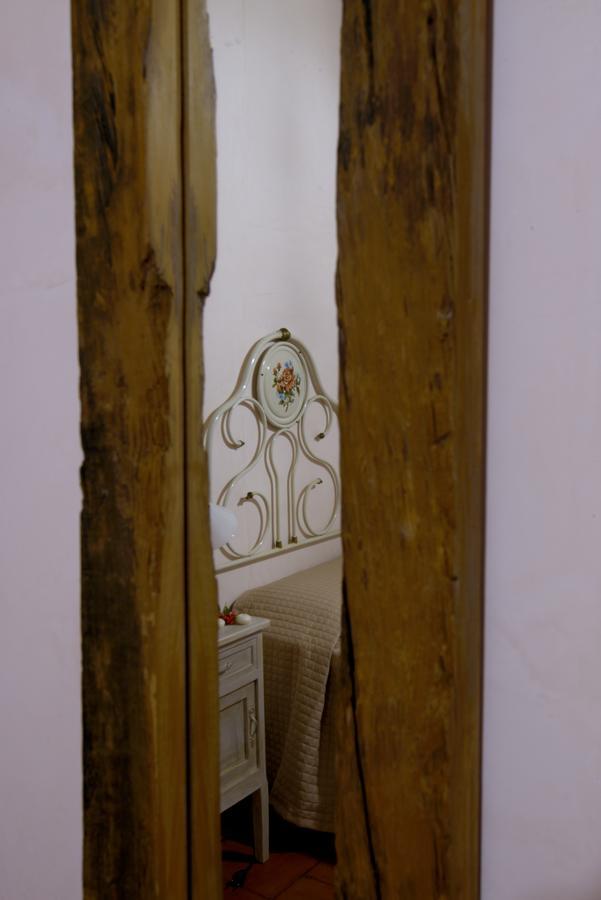 Contado San Lorenzo B&B And Wine Castilenti Екстер'єр фото
